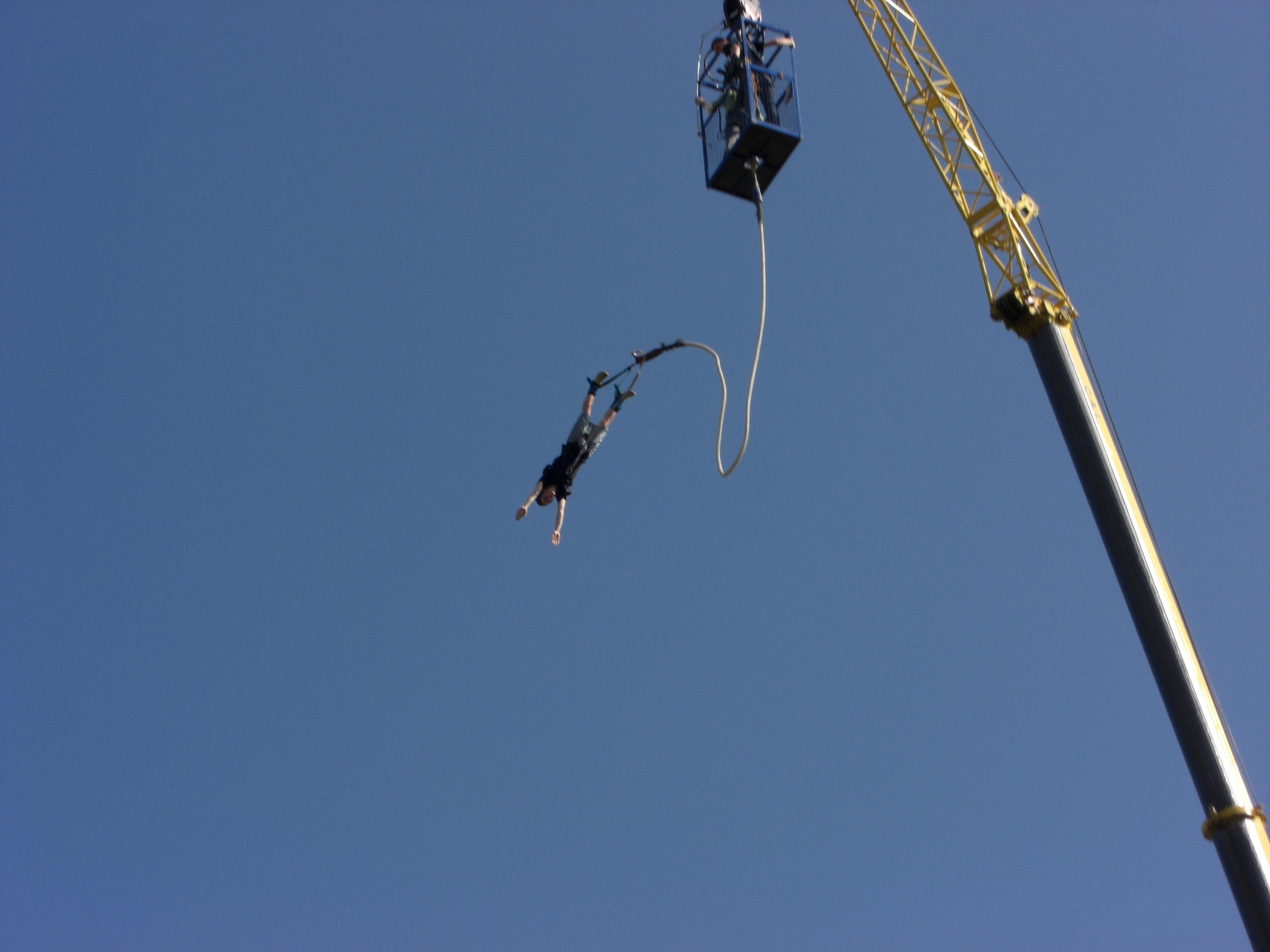 Saut élastique de Grue en Région Parisenne.