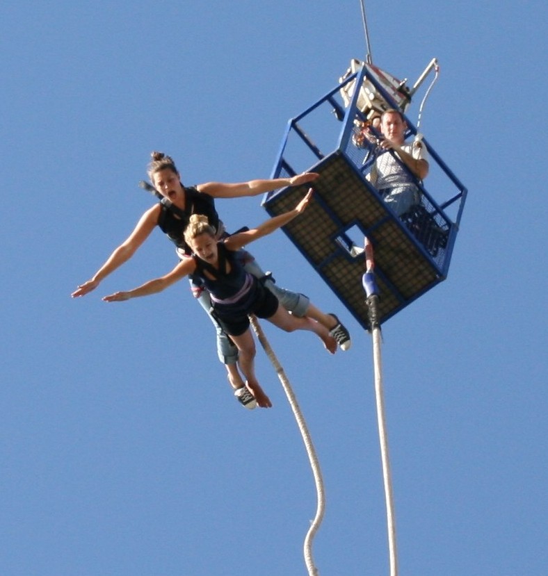 Saut élastique  Grue.